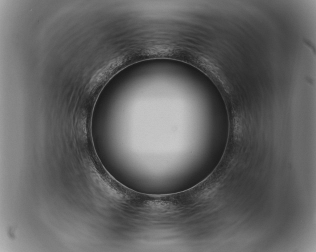 X0000103130633200808221155