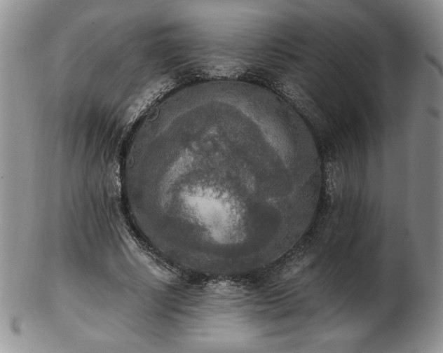 X0000103130634200808221155