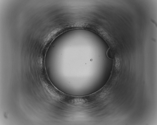 X0000103130636200808221155