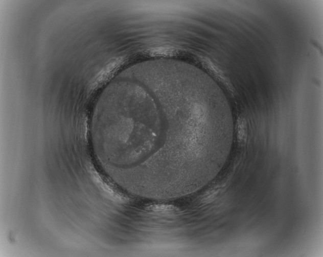 X0000103130637200808221155