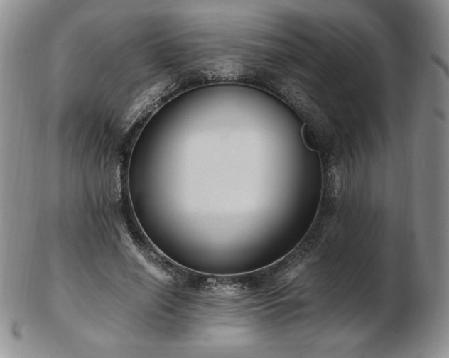 X0000103130638200808221155