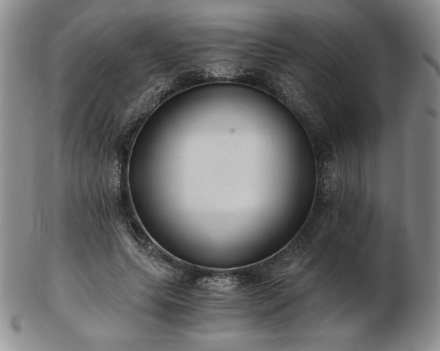 X0000103130639200808221155