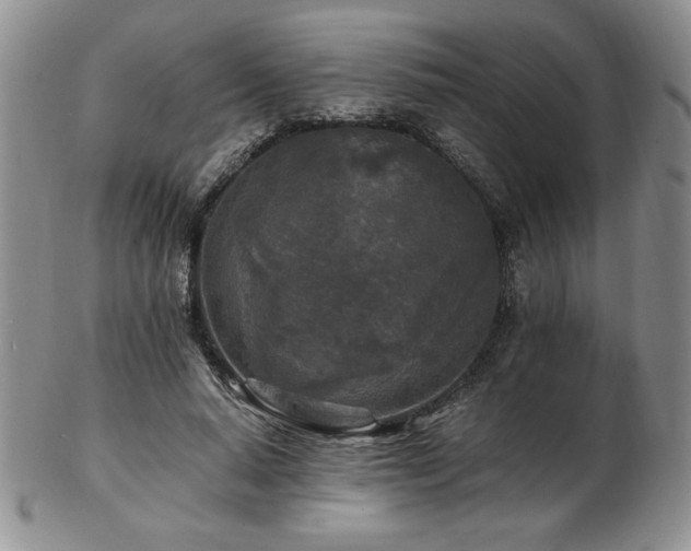 X0000103130640200808221155