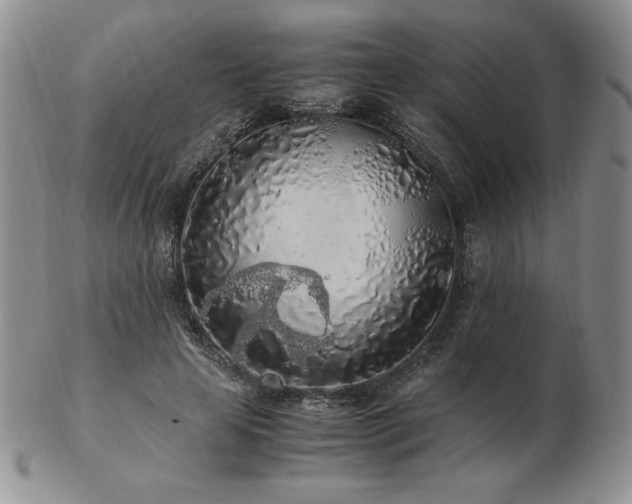 X0000103130641200808221155
