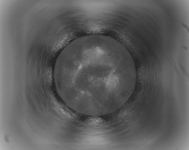 X0000103130642200808221155
