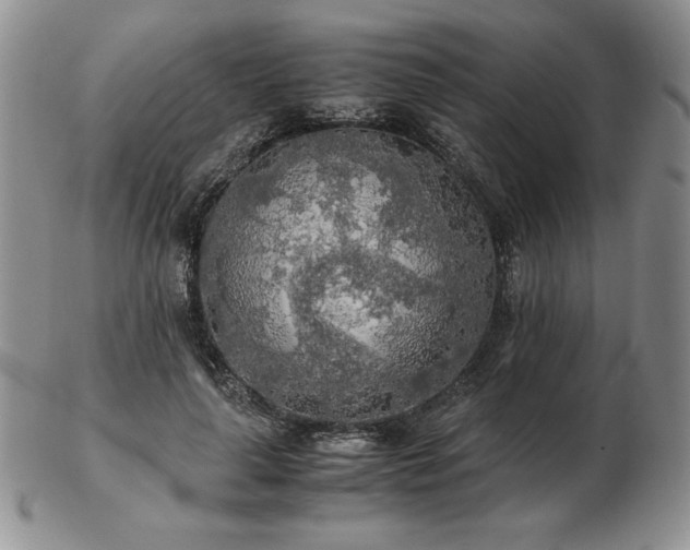 X0000103130643200808221155