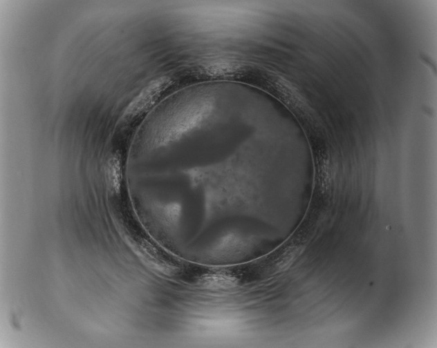 X0000103130644200808221155