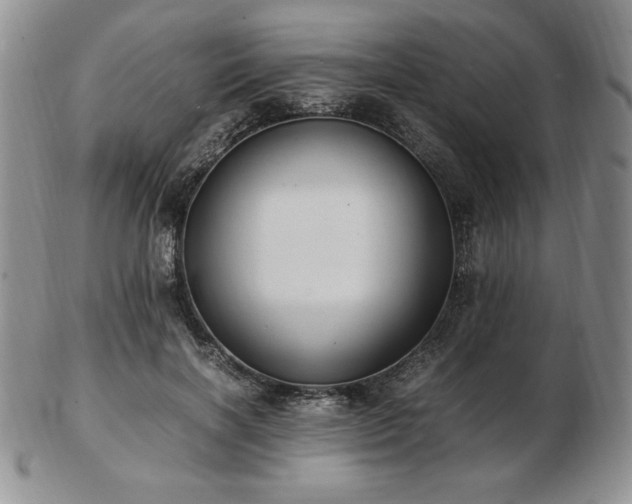 X0000103130646200808221155