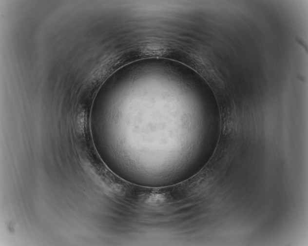 X0000103130647200808221155
