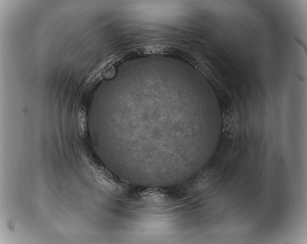 X0000103130648200808221155