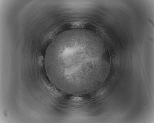 X0000103130649200808221155