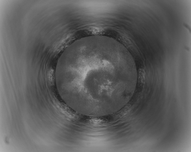 X0000103130650200808221155