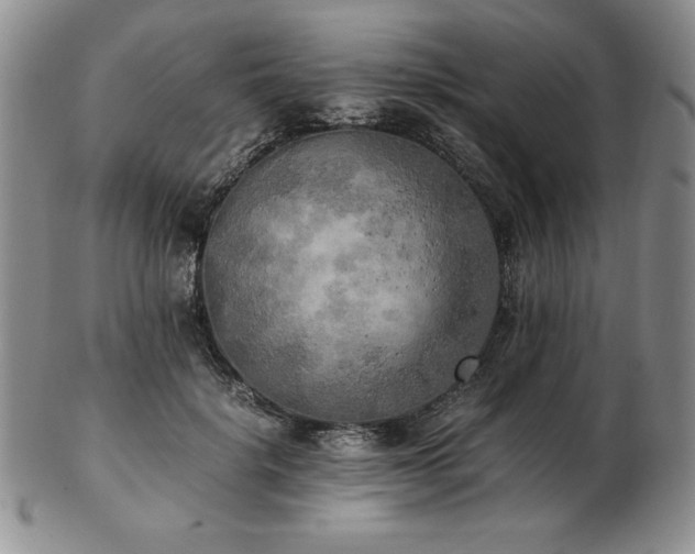 X0000103130652200808221155