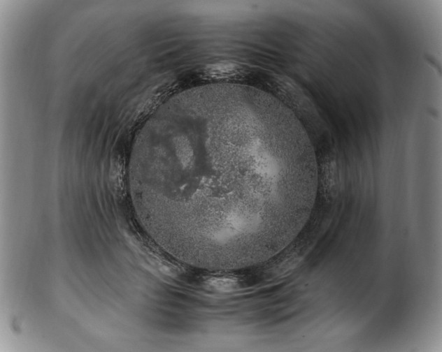 X0000103130653200808221155