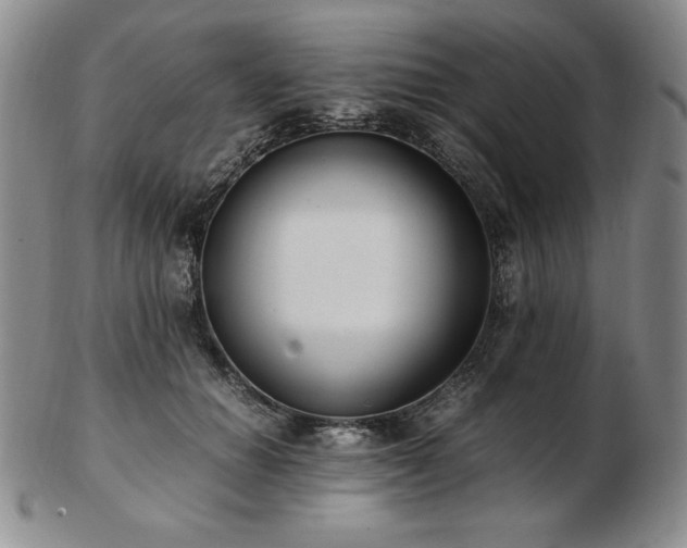 X0000103130654200808221155