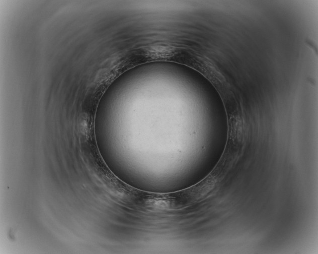 X0000103130655200808221155