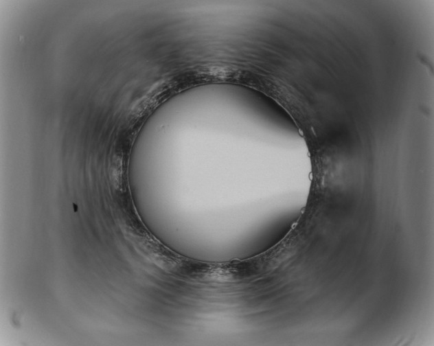 X0000103130656200808221155