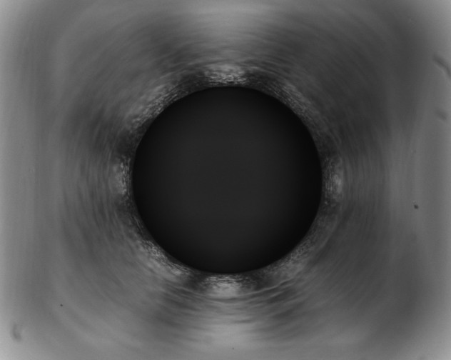 X0000103130658200808221155
