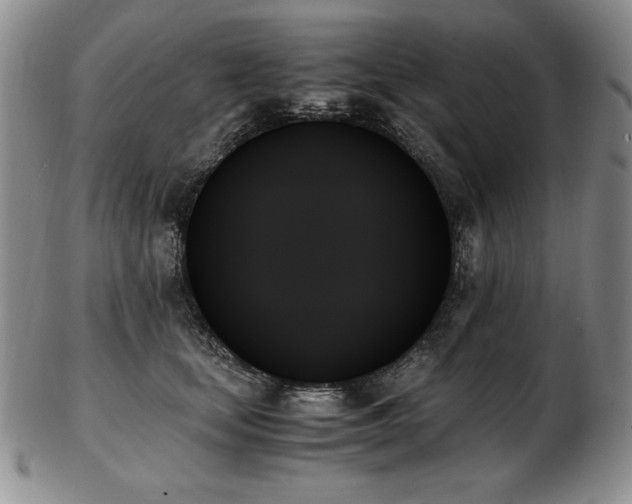 X0000103130659200808221155