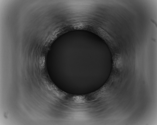 X0000103130660200808221155