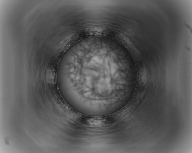 X0000103130661200808221155