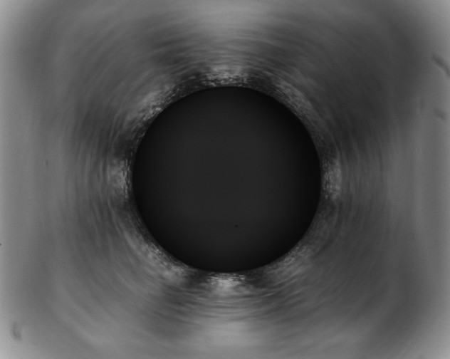 X0000103130662200808221155
