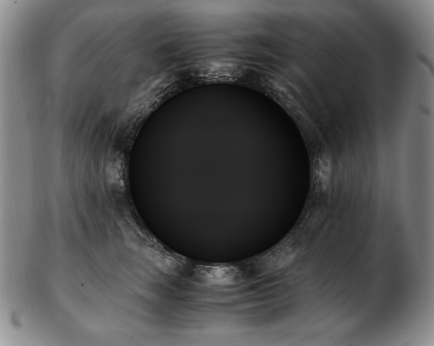 X0000103130663200808221155
