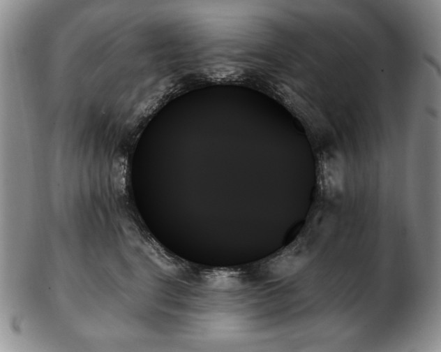 X0000103130664200808221155