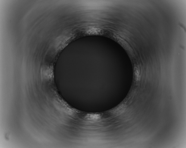 X0000103130665200808221155