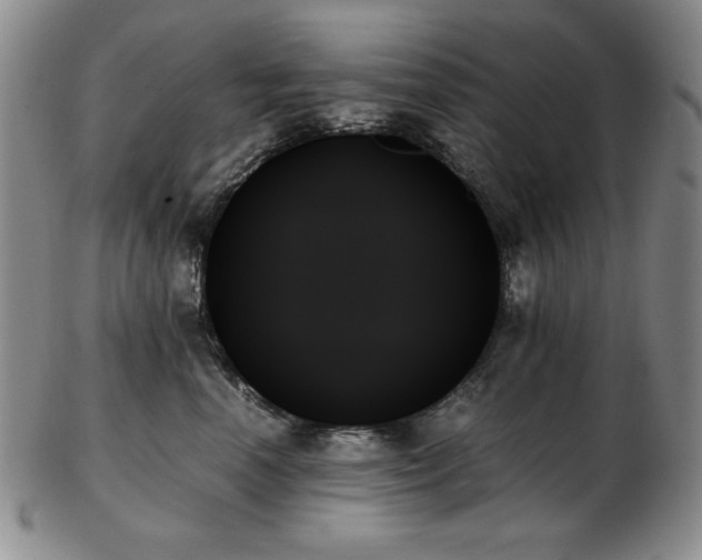 X0000103130666200808221155