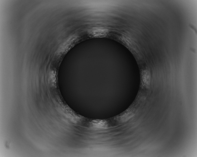 X0000103130667200808221155