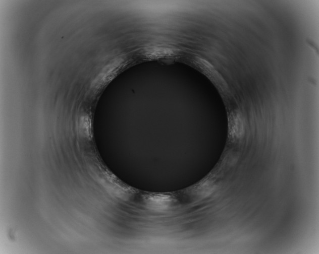 X0000103130669200808221155