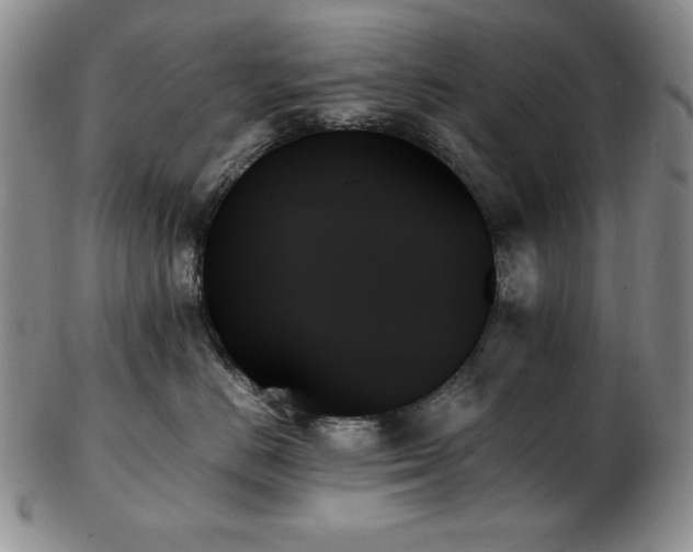 X0000103130670200808221155