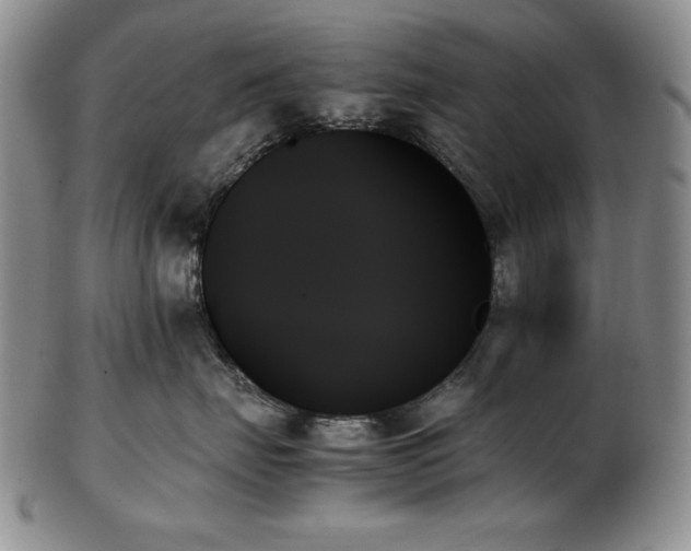 X0000103130671200808221155