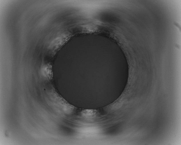 X0000103130672200808221155
