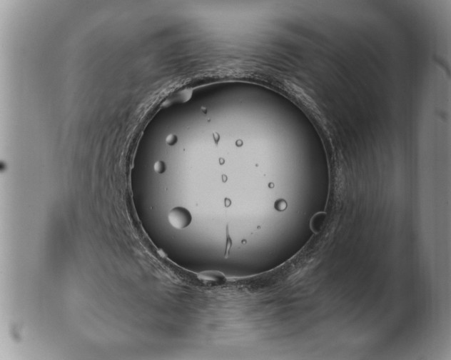 X0000103130673200808221154