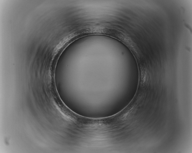 X0000103130674200808221154