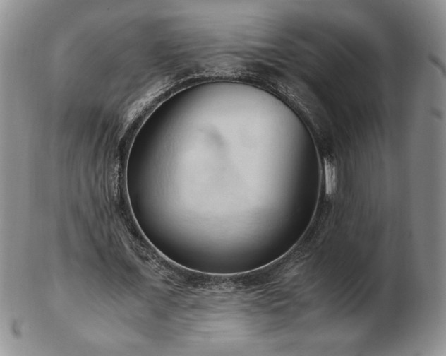 X0000103130675200808221154