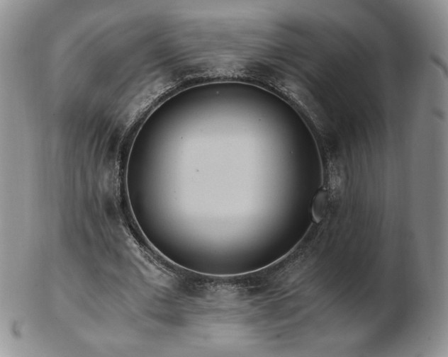X0000103130677200808221154