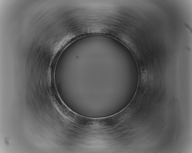 X0000103130678200808221154