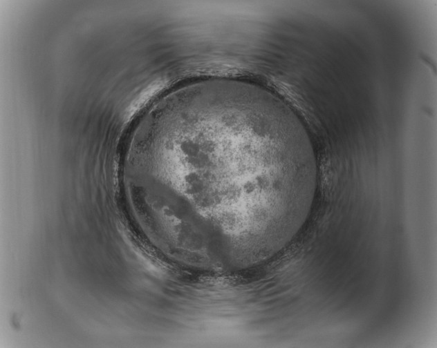 X0000103130679200808221154