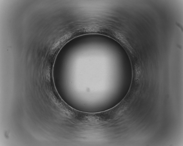 X0000103130681200808221154