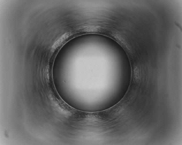 X0000103130682200808221154