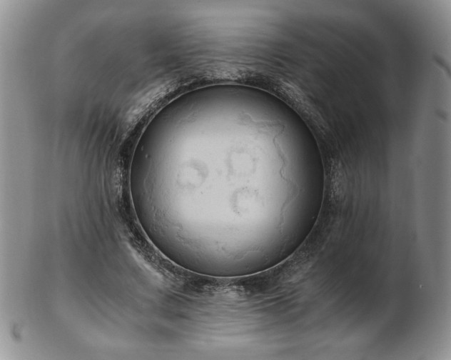X0000103130683200808221154
