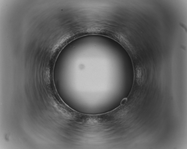 X0000103130684200808221154