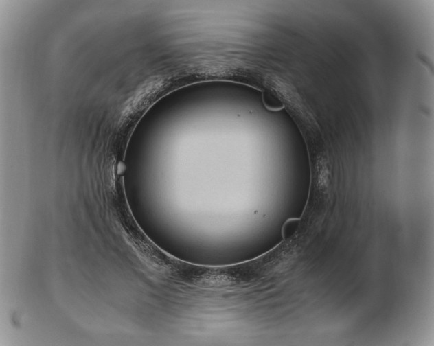 X0000103130685200808221154