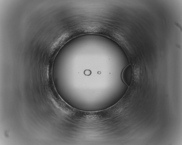 X0000103130686200808221154