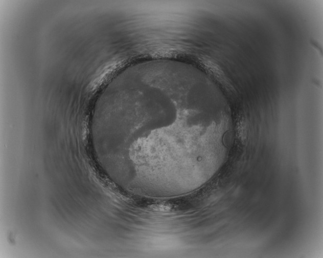 X0000103130687200808221154
