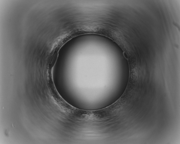 X0000103130688200808221154