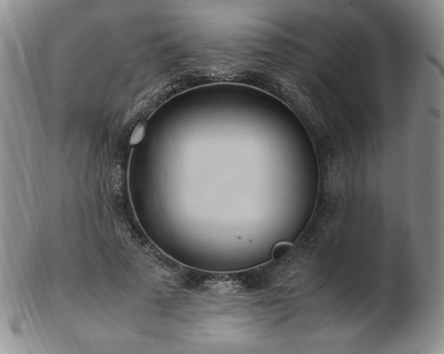 X0000103130689200808221154